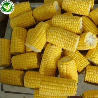 China Export price suppliers organic wholesale bulk frozen IQF sweet yellow corn for sale