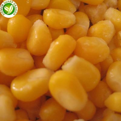 China Delicious Organic Wholesale Bulk Iqf Fresh Frozen Yellow Corn Kernel for sale