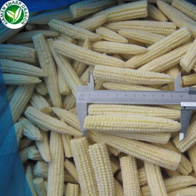 China IQF Organic Wholesale Bulk Prices Yellow Frozen Baby Corn for sale