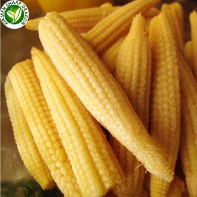 China Importers Wholesale Price Baby Frozen Corn Cob Organic Production Line for sale