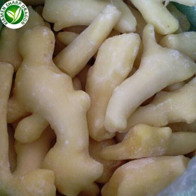 China IQF Fresh Export China Organic Frozen Ginger Roots In Price for sale