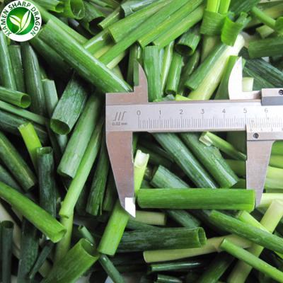 China High Grade Organic Wholesale Frozen Iqf Spring Green Onion With Certification for sale