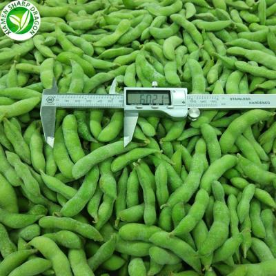 China Healthy Soy Brands IQF Frozen Bulk Edamame Beans With Best Price for sale