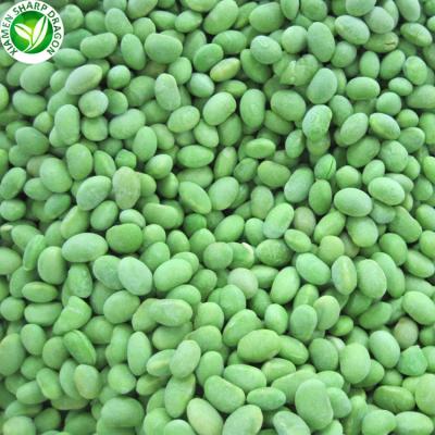 China Supplier Export Organic Bulk Peeled Shelled Raw Frozen Soybean Edamame Kernels Natural Beans Prices for sale