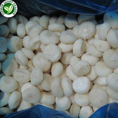 China Good Price Organic Best Quality Iqf Peeled Frozen Water Chestnut For Sale KOSHER Bulk Cube In Style Storage for sale