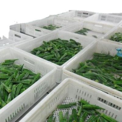 China Whole Yellow IQF JELLY / Reduced Frozen Fresh Okra Prices for sale