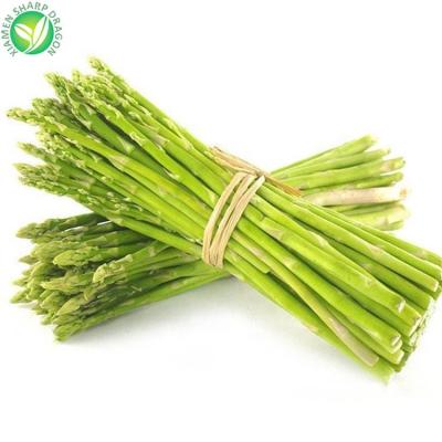 China IQF Export Vegetable Green Bulk Price Supplier Organic Frozen Asparagus for sale