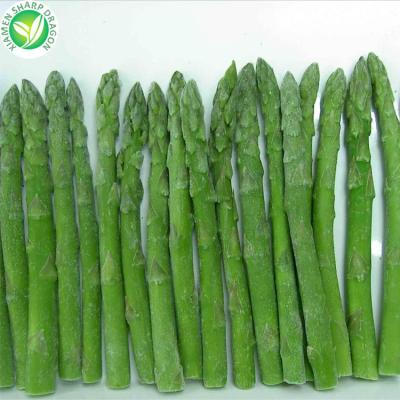 China High quality frozen green asparagus good price IQF FROZEN frozen vegetables for sale for sale