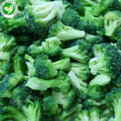 China Wholesale Frozen Cut Organic Freezing Broccoli FROZEN Broccoli for sale