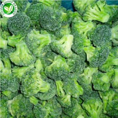 China 2022 healthy high quality frozen broccoli fresh vegetable for sale