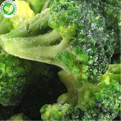 China IQF Import Bulk Wholesale Price Organic Organic Brands Freezing Broccoli With 3-5cm for sale