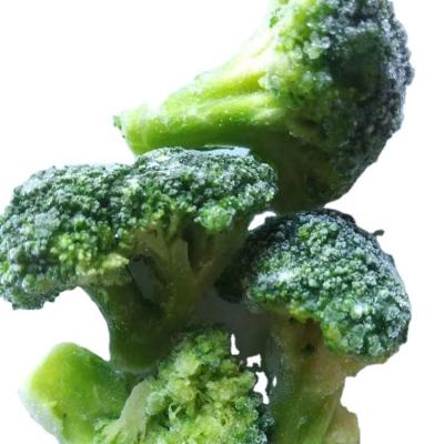 China bulk organic iqf wholesale price frozen broccoli sprouts for sale