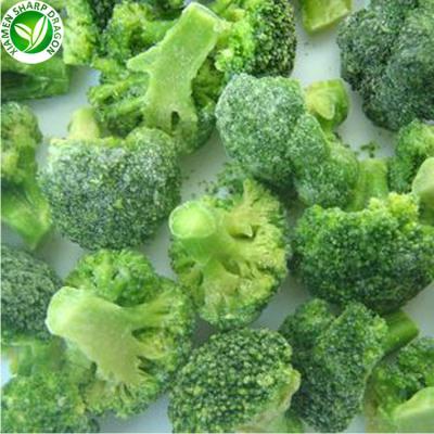 China Exporter organic bulk price cut green vegetables iqf frozen broccoli for sale for sale