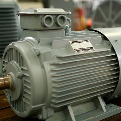 China Unique products 20kw wind turbines permanent magnet generator for sale YGDLF-20 for sale