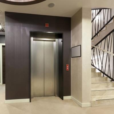 China Passenger Elevator LMR Space Saving Energy Efficient Small Price Home Elevator Elevator for sale