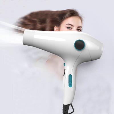 China Ionic Ionic Step Hair Dryer DC Cool/Hot Flow Flat Wire Motor Ionic Multi Speed ​​Drying Fast Fast One Step Hair Dryer for Human and Pet for sale