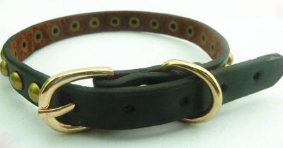 China Pet leather collar for sale