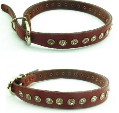 China Dog Collars for sale