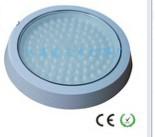 China led ceiling lamp for kitchen or toliet lighting for sale