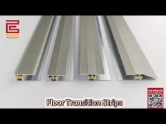 Floor Transition Strips