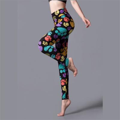 China Anti-wrinkle Women Leopard Print Elastic Fitness Legging Fashion Autumn High Waist Skinny Pants Spring Legging for sale