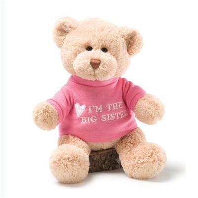 China Wholesale Custom Mini Teddy Bear Plush Teddy Bear With Clothes T-shirt for sale