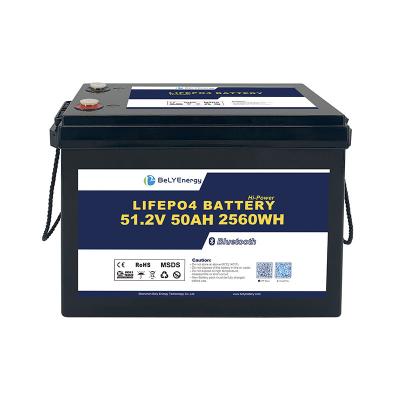 Cina Cost-Effective Longevity 51.2V 50Ah Lifepo4 Batteria 3000 cicli per sistema di archiviazione in vendita