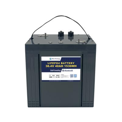 China 36V 40AH LiFePO4 Lithium Battery with communication function included for Golf Carts Te koop