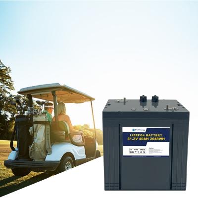 China Bely Energy nieuwste ontwerp 40AH 48v Lifepo4 batterij Golfkar LiFePO4 batterij Te koop