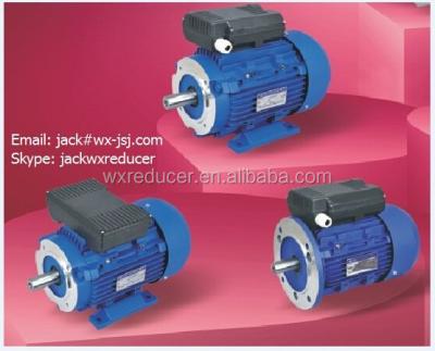 China IP 55 Single Phase Motor / Three Phase Asynchronous Motors / 220V /380V for sale