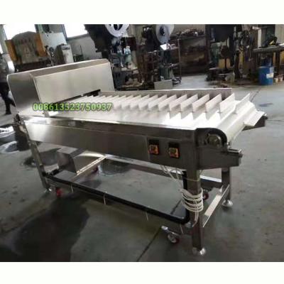 China Flammulina velutipes vegetable root cutter for sale