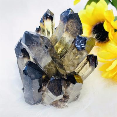 China Europe Crystal Mineral Specimen Black Ghost Rough High Quality Wholesale Phantom Cluster For Decoration for sale