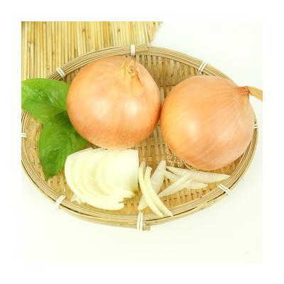 China Cheap fresh organic natural yellow onions new products in 2021 for sale