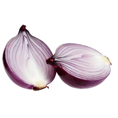 China Fresh Onion Exporters In Holland India Farm Myanmar Spring Fresh Red Yellow Shallot Onions Supplier for sale