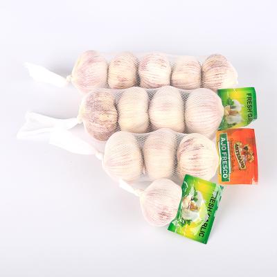 China Bulk Price 5.5cm Fresh Factory Pure/Normal White Fresh Garlic For Sale China Garlic for sale