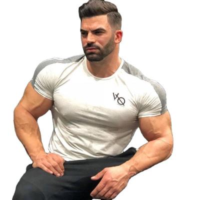 China Cool Plus Size Max Mens Muscle 100% Cotton T-Shirts Fitted Running Sports Shirt For Men for sale