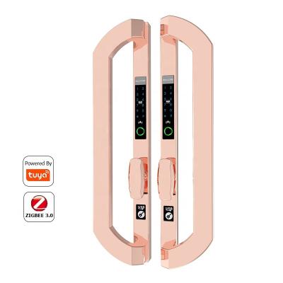 China Outdoor Glass Bridge Sus304 Fingerprint Door Lock Traditional Aluminum Broken Hotel Dtype Smart Combination Lock for sale