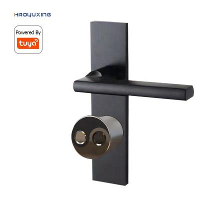 China Tuya Zinc Alloy Copper Zinc Alloy Smart Key Fingerprint Door Lock Cylinder Mortise Bedroom Door Lock European Standard for sale