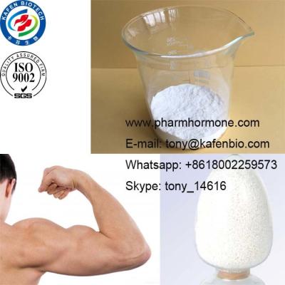 China Anabolic Steroids Powder  99% Testosterone Steroid Hormone Raw Methyltestosterone Powder for sale