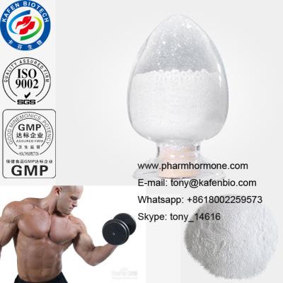 China Oral Steroids 99% Purity Pharmaceutical Male Enhancement Raw Winstrol Powder Hormone Stanozolol for sale