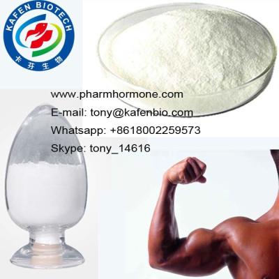 China Anti Estrogen Hormone Anabolic Raw Steroid Powders Letrozole Femara for Breast Cancer for sale