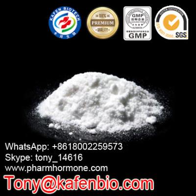 China Muscle Body Building Anabolic Steroids Powder Testosterone Base 58-22-0 Testolent Powder Male Hormone for sale