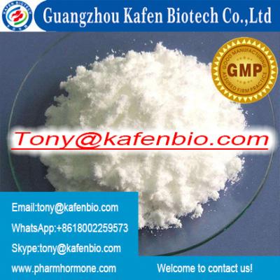 China Testosterone Phenylpropionate Injectable Steroids for Muscle Building 1255-49-8 White crystalline powder for sale