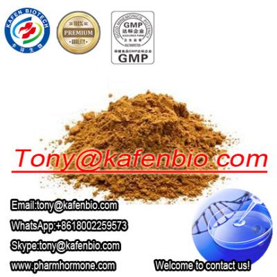 China Natural Herb Sex Enhancer Icariin / Horny Goat Weed Extract / Epimedium Extract 489-32-7 for sale