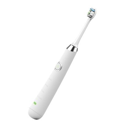 China Household OEM Sonic Vibration Toothbrush for Oral Care for sale