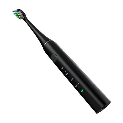 China Price u Disposable Battery Powered Disposable Best Quiet Shape Best Power Toothbrush for sale