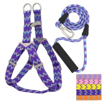 China Pet Viable Leashes Dog Harness Outdoor Walking Leash Set Climbing Soft Dog Vest Adjustable Dog Harness for sale