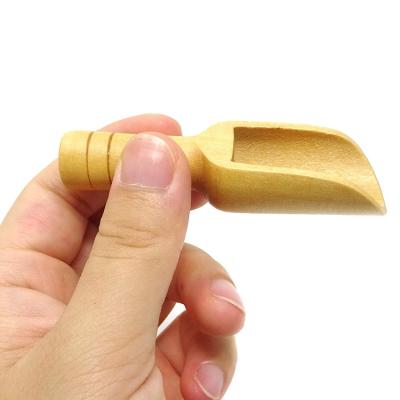 China Sustainable Wholesale Biodegradable Laundry Powder Scoops Washing Powder Measuring Mini Wooden Tiny Spoons for sale