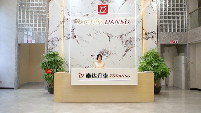 Verified China supplier - Dongguan Tddanso Fuel Pump Injector Co., Ltd.