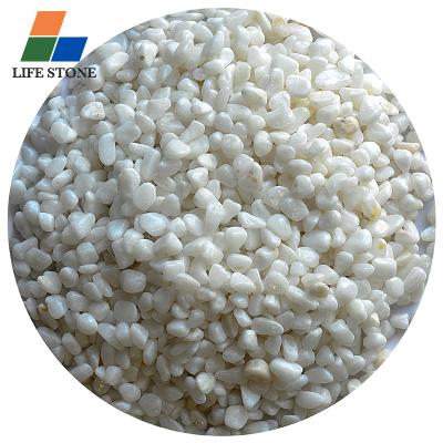 China Foshan traditional natural small pebble wash stone for sale